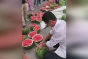 大型吃瓜现场图,揭秘娱乐圈幕后风云