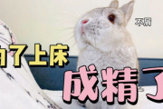 兔兔娱乐吃瓜