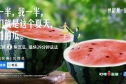 娱乐吃瓜常用文案,明星们的幕后故事与八卦风云